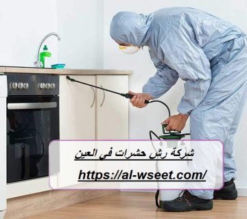 شركة رش حشرات في العين