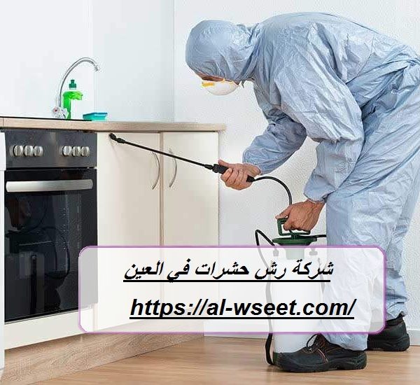 شركة رش حشرات في العين
