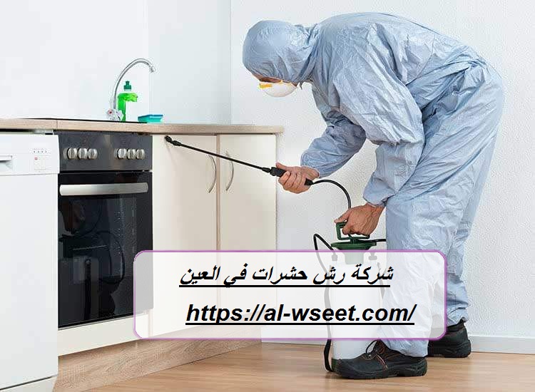 شركة رش حشرات في العين
