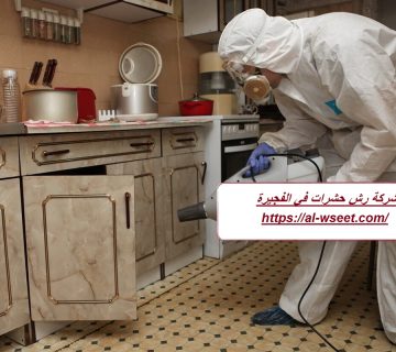 شركة رش حشرات في الفجيرة