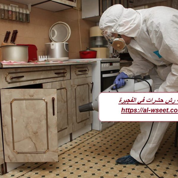 شركة رش حشرات في الفجيرة