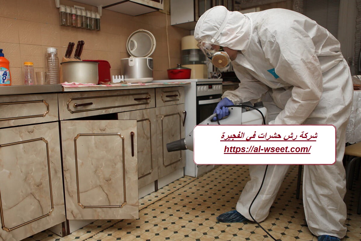 شركة رش حشرات في الفجيرة