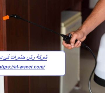 شركة رش حشرات في دبي