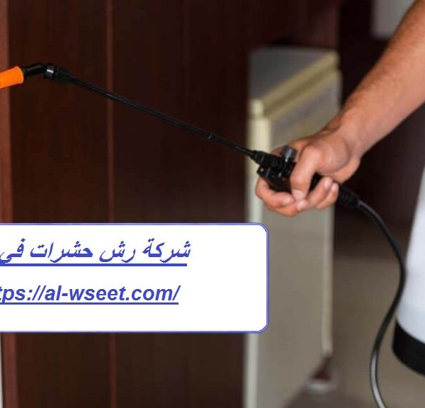 شركة رش حشرات في دبي
