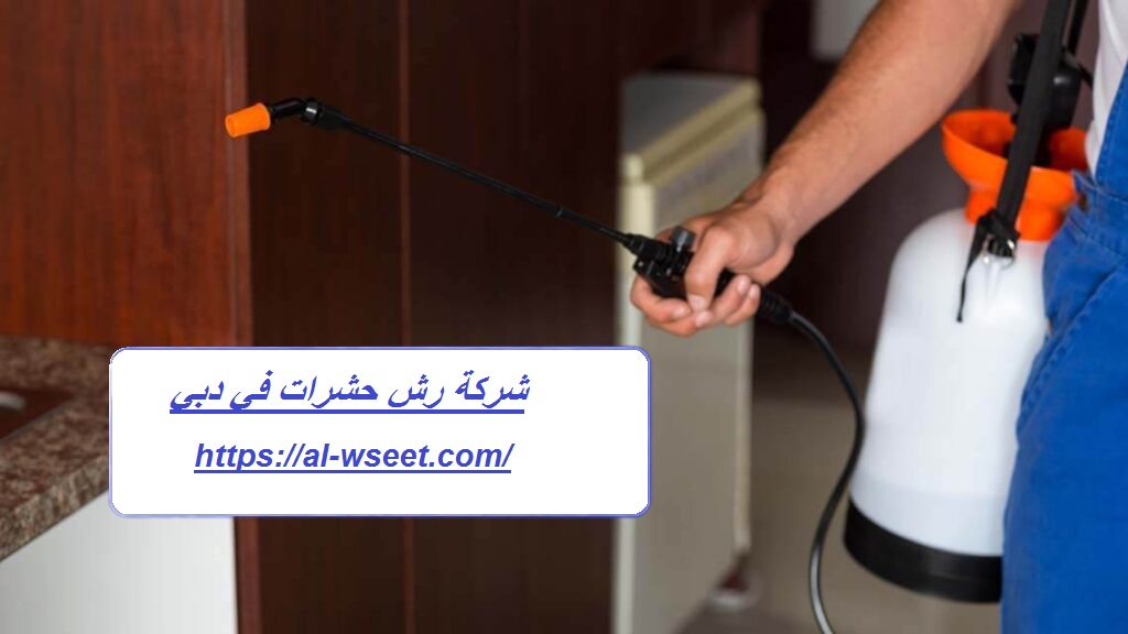 شركة رش حشرات في دبي