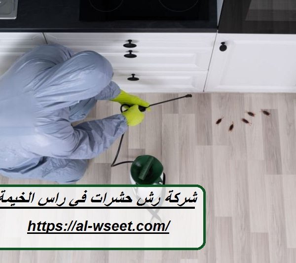 شركة رش حشرات في راس الخيمة