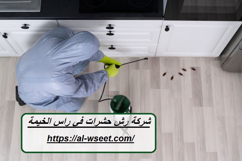 شركة رش حشرات في راس الخيمة
