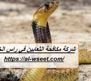 شركة مكافحة الثعابين في راس الخيمة