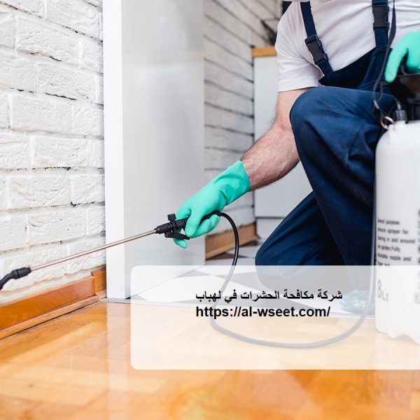 شركة مكافحة الحشرات في لهباب