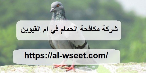 شركة مكافحة الحمام في ام القيوين