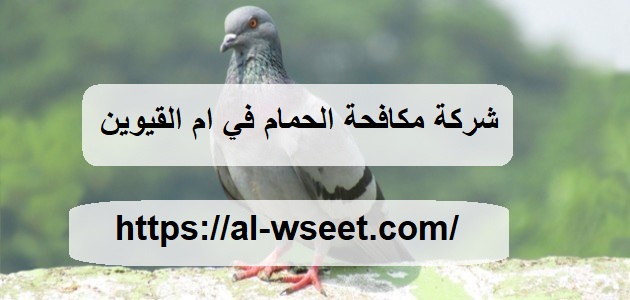شركة مكافحة الحمام في ام القيوين