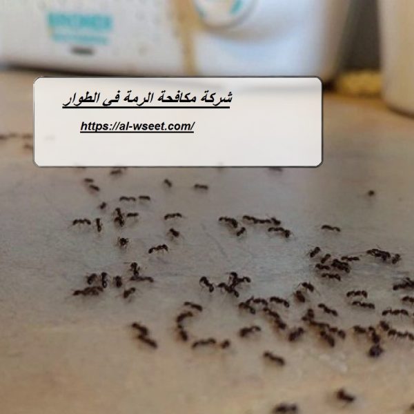 شركة مكافحة الرمة في الطوار