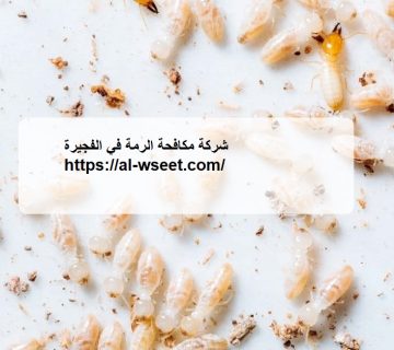 شركة مكافحة الرمة في الفجيرة
