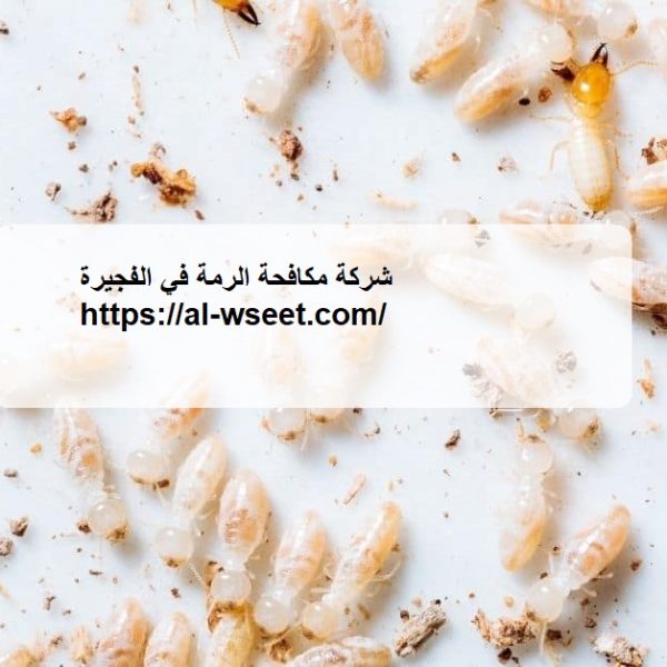 شركة مكافحة الرمة في الفجيرة