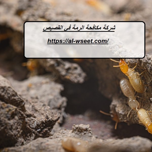 شركة مكافحة الرمة في القصيص