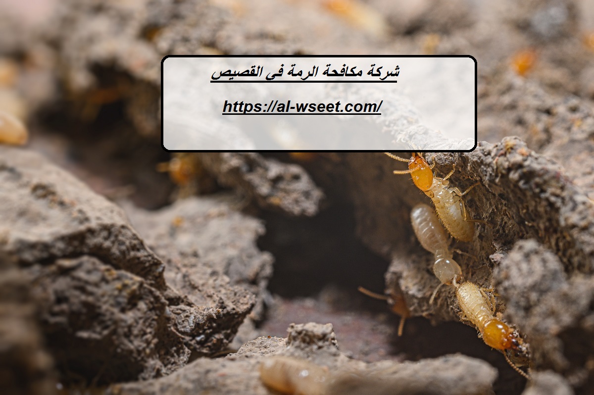 شركة مكافحة الرمة في القصيص