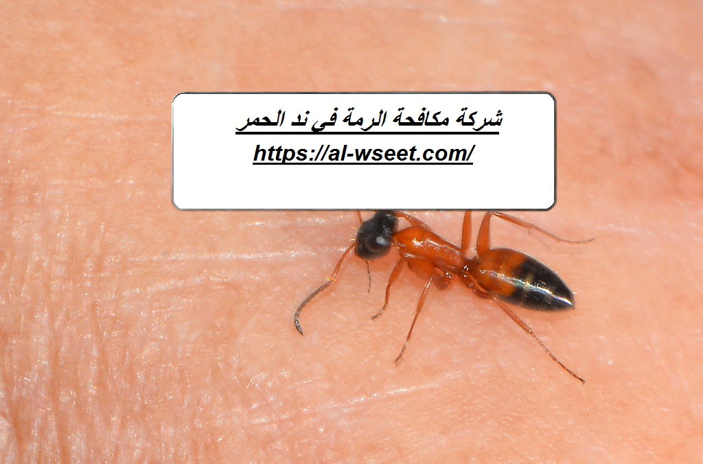شركة مكافحة الرمة في ند الحمر