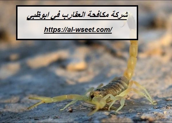 شركة مكافحة العقارب في ابوظبي