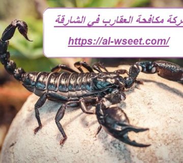 شركة مكافحة العقارب في الشارقة