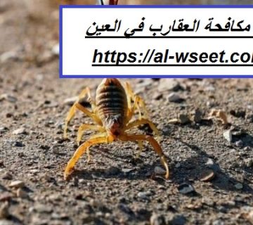شركة مكافحة العقارب في العين