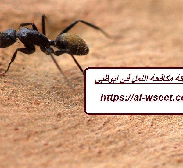 شركة مكافحة النمل في ابوظبي