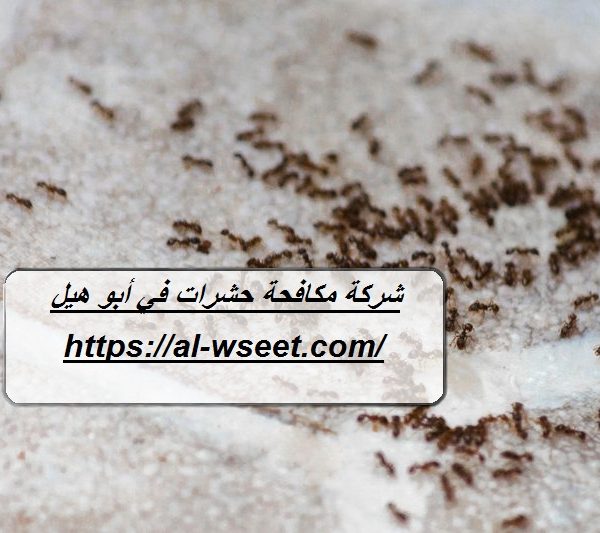 شركة مكافحة حشرات في أبو هيل دبي