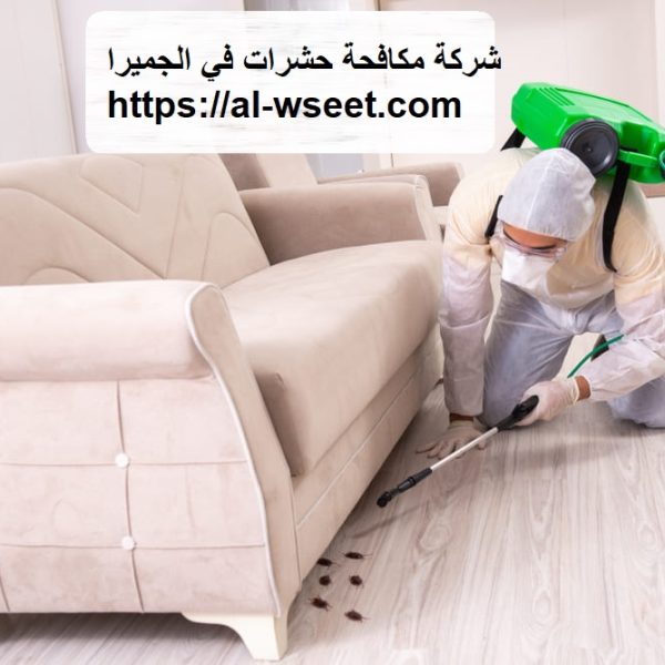 شركة مكافحة حشرات في الجميرا