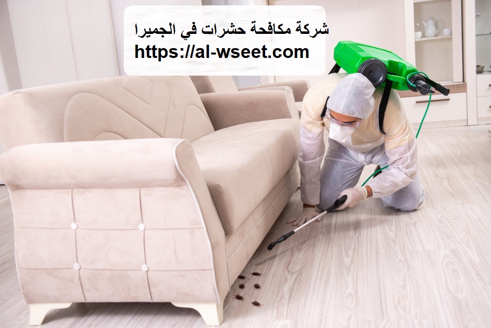 شركة مكافحة حشرات في الجميرا