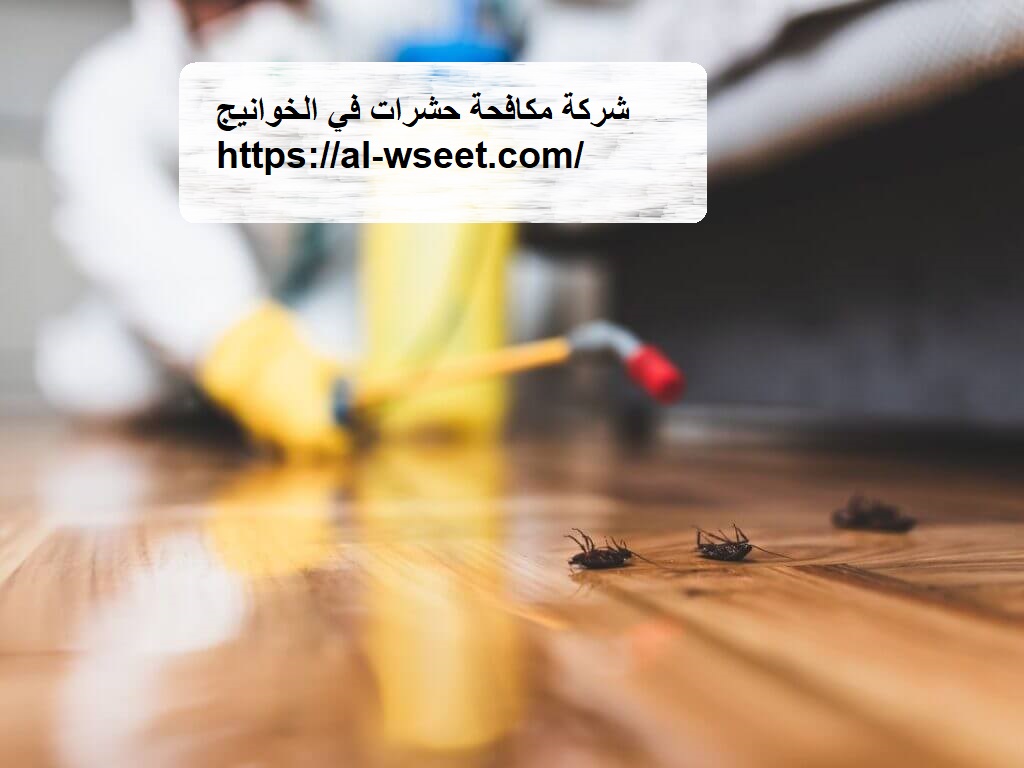 شركة مكافحة حشرات في الخوانيج