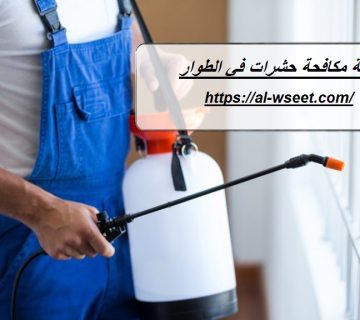 شركة مكافحة حشرات في الطوار