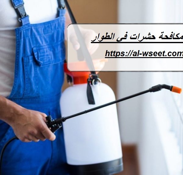 شركة مكافحة حشرات في الطوار
