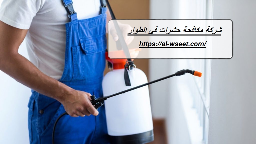 شركة مكافحة حشرات في الطوار