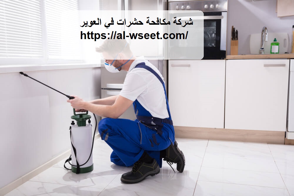 شركة مكافحة حشرات في العوير