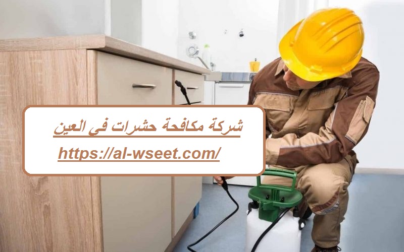 شركة مكافحة حشرات في العين