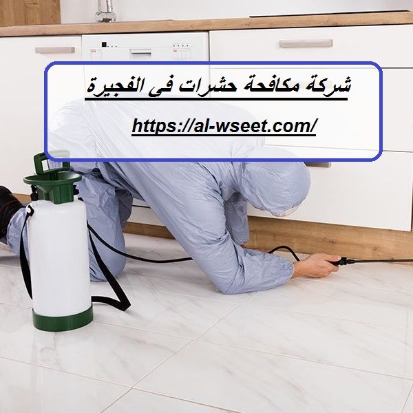 شركة مكافحة حشرات في الفجيرة