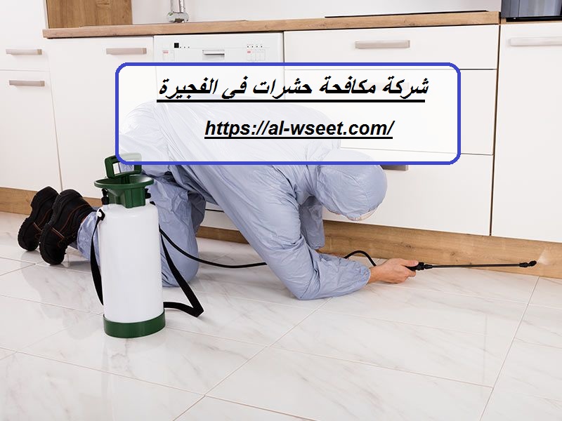 شركة مكافحة حشرات في الفجيرة