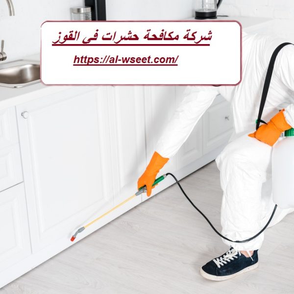 شركة مكافحة حشرات في القوز