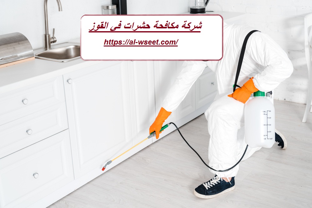 شركة مكافحة حشرات في القوز