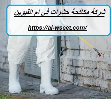 شركة مكافحة حشرات في ام القيوين