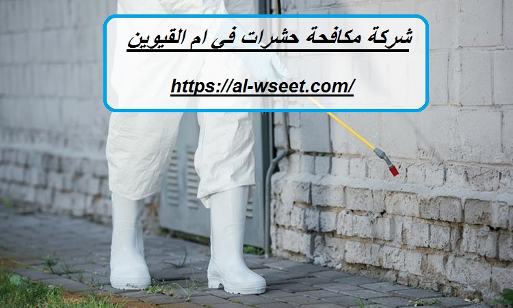 شركة مكافحة حشرات في ام القيوين