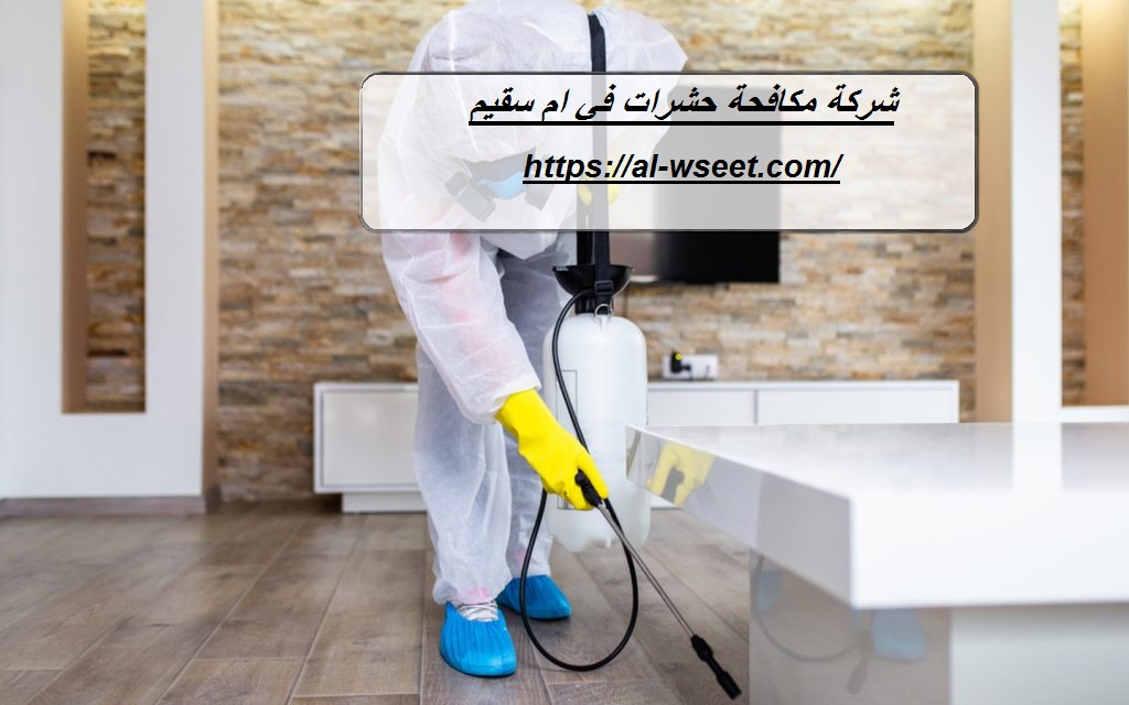 شركة مكافحة حشرات في ام سقيم