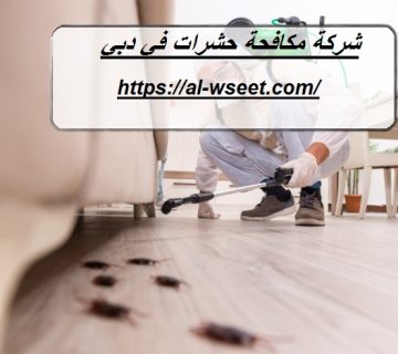 شركة مكافحة حشرات في دبي