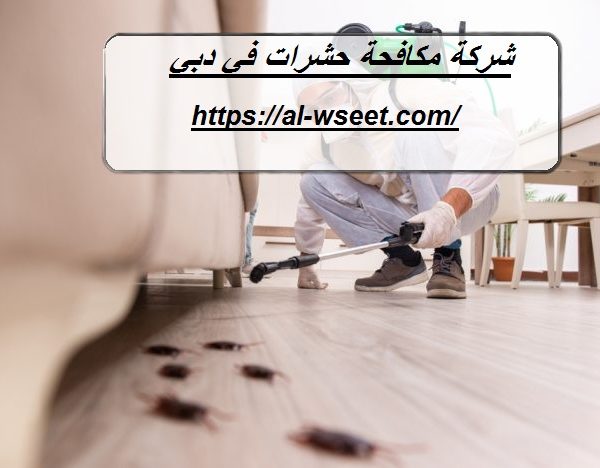 شركة مكافحة حشرات في دبي