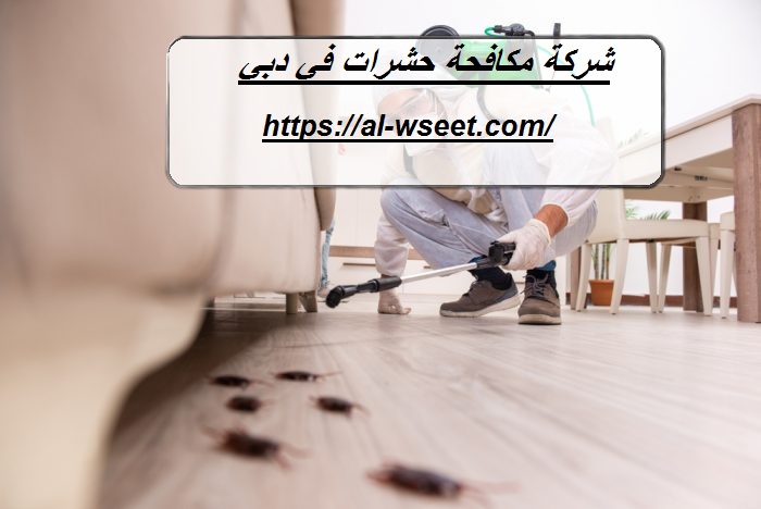 شركة مكافحة حشرات في دبي