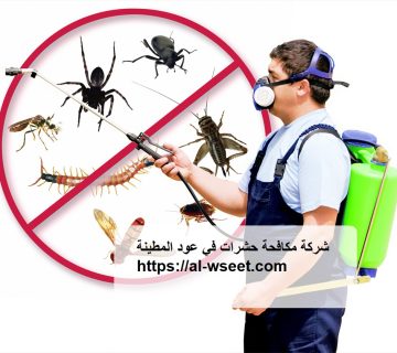 شركة مكافحة حشرات في عود المطينة