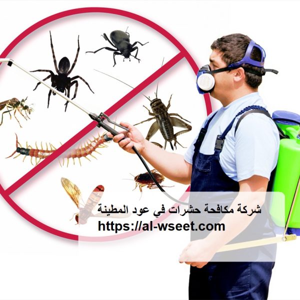 شركة مكافحة حشرات في عود المطينة