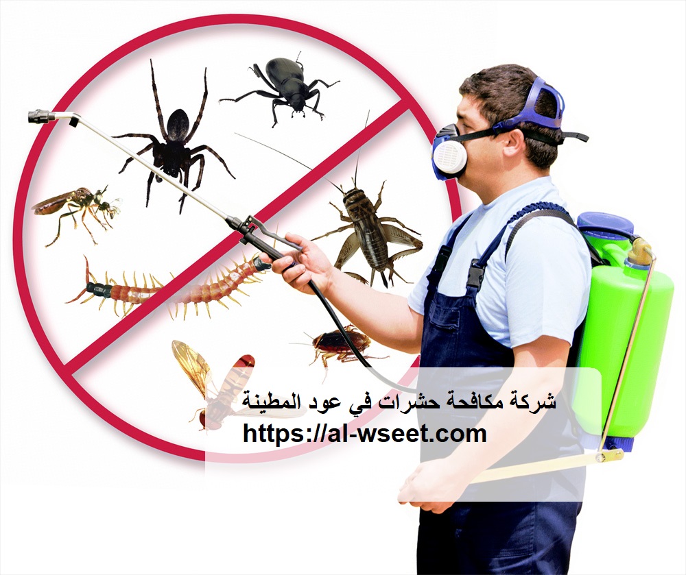 شركة مكافحة حشرات في عود المطينة