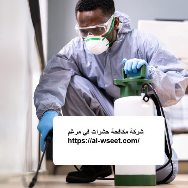 شركة مكافحة حشرات في مرغم