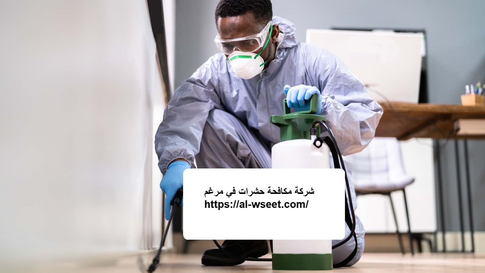 شركة مكافحة حشرات في مرغم