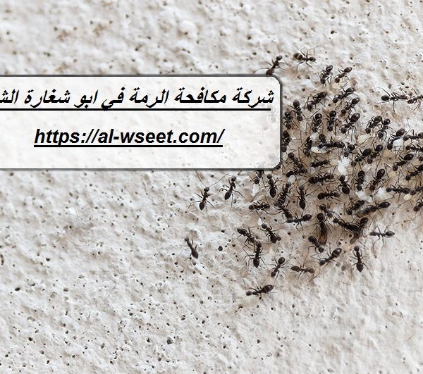 شركة مكافحة الرمة في ابو شغارة الشارقة
